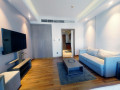 lavish-studio-apartment-rent-sanabis-small-1