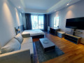 lavish-studio-apartment-rent-sanabis-small-0