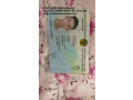 passport-id-dl-ssn-ieltstoeflesolchsk-visa-small-2