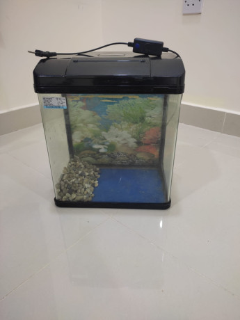 urgent-sale-fish-tank-bhd-10-expat-leaving-bahrain-big-0