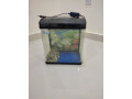 fish-tank-bhd-5-expat-leaving-bahrain-small-0