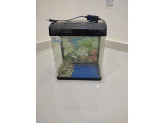 Urgent Sale - Fish tank -BHD 5 - Negotiable-Expat leaving Bahrain