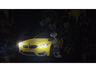 The unique painting is made in a single copy. The perfect gift for the BMW fan or a car enthusiast